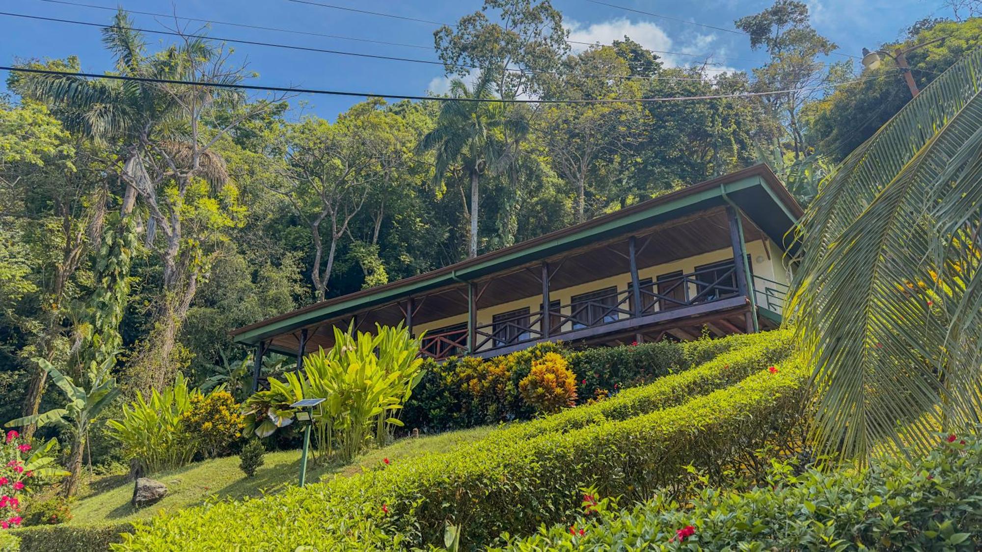 Tabulia Tree Hotel Manuel Antonio Exterior photo